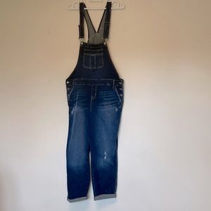 NWT Torrid Denim Overalls Jumpsuit, size 18